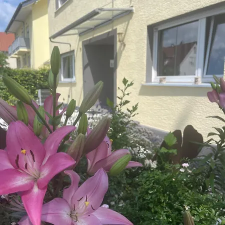 Casa de Férias Cosmopolitan