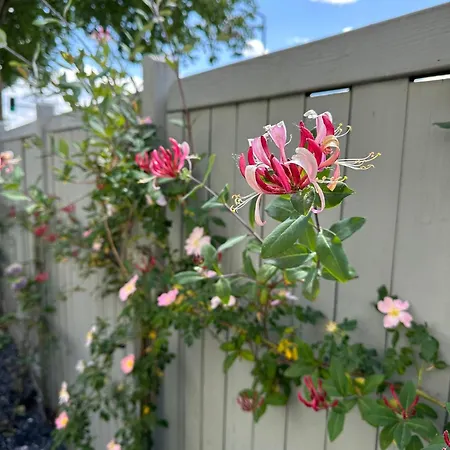 Cosmopolitan Am Schlosspark 帕德博恩