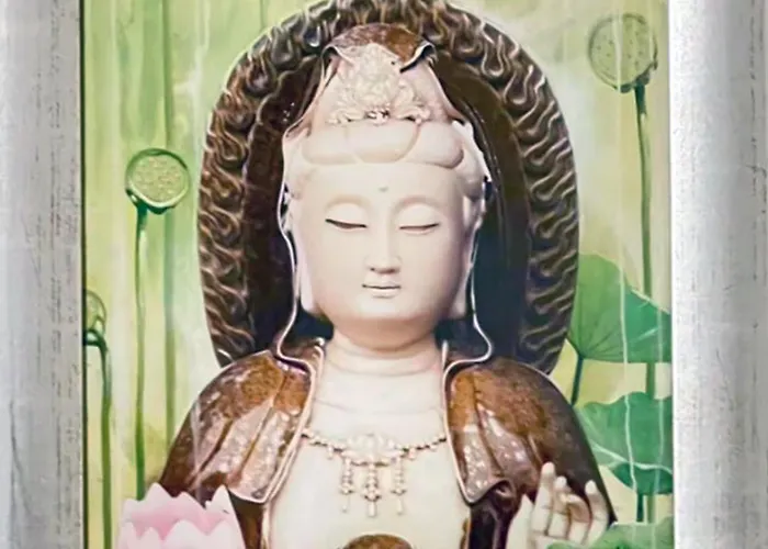 Hébergement de vacances Cosmopolitan Am Schlosspark