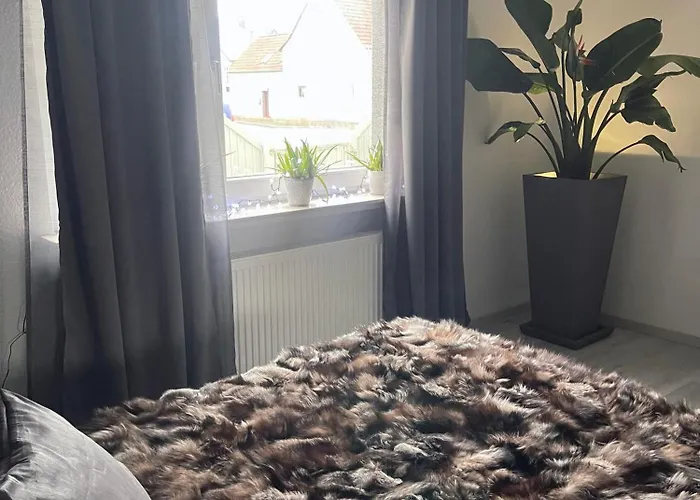 Cosmopolitan Am Schlosspark 度假居 *