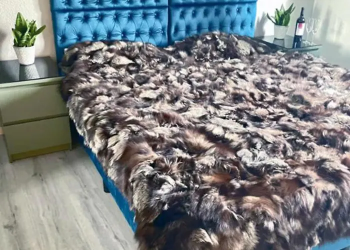 Hébergement de vacances Cosmopolitan Am Schlosspark *