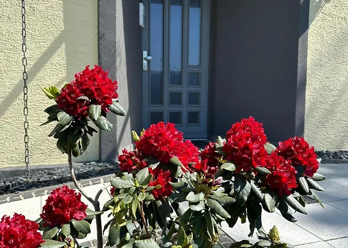 Cosmopolitan Am Schlosspark *