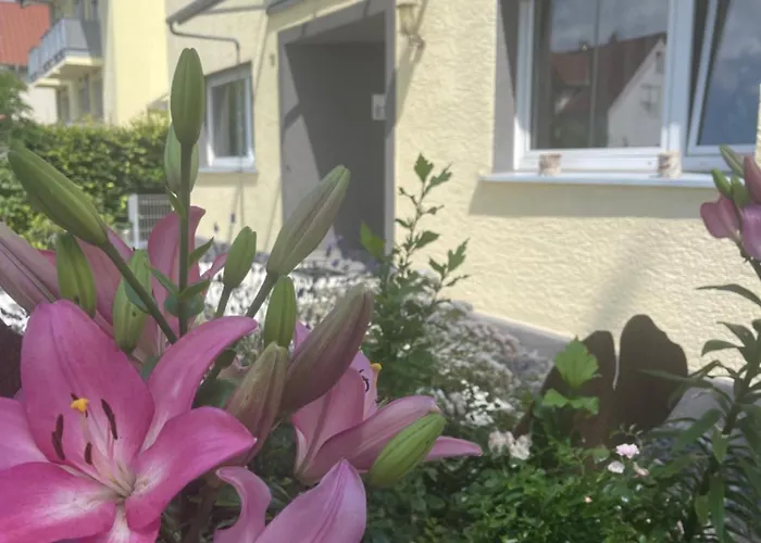 度假居 Cosmopolitan Am Schlosspark