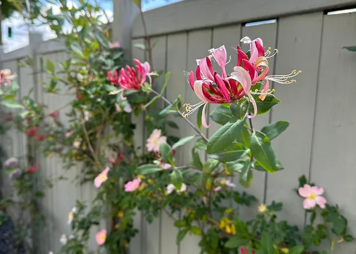 Cosmopolitan Am Schlosspark Paderborn